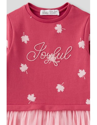 Vestido de niña de tul rosa