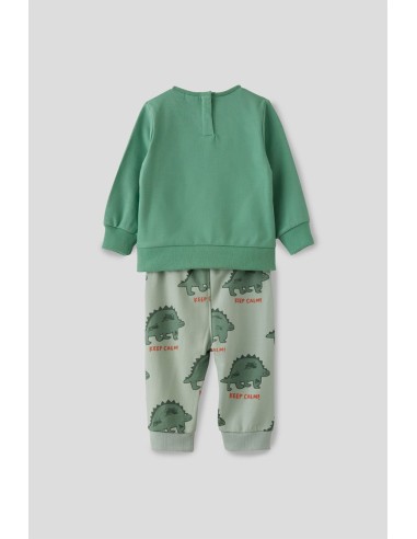 Chándal de niño dinosaurios