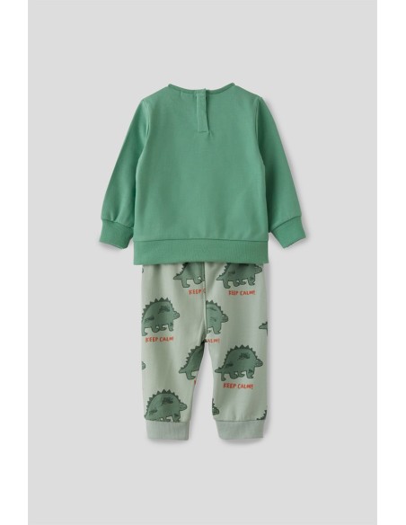 Chándal de niño dinosaurios
