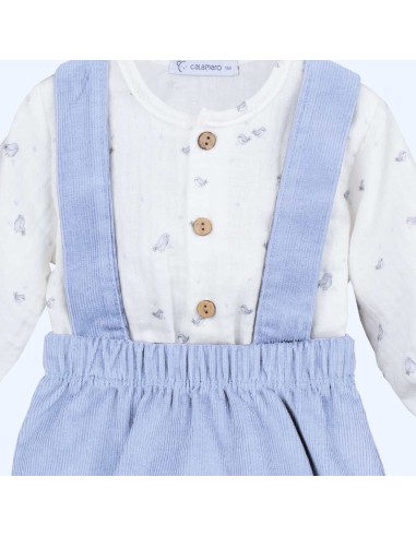 Conjunto pololo odiel