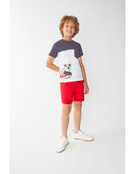 Street Monkey conjunto niño dinosaurio