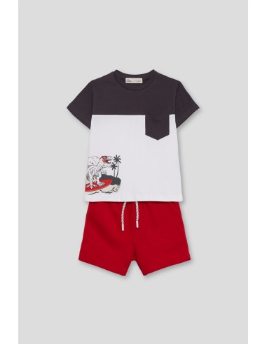 Street Monkey conjunto niño dinosaurio