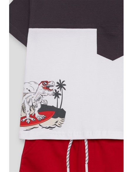 Street Monkey conjunto niño dinosaurio