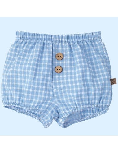 Pololo  modelo cántabrico