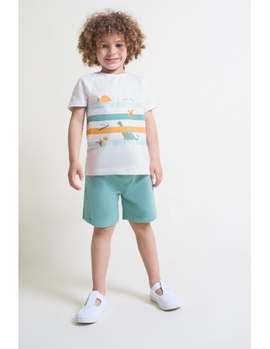 Conjunto niño dinos verde