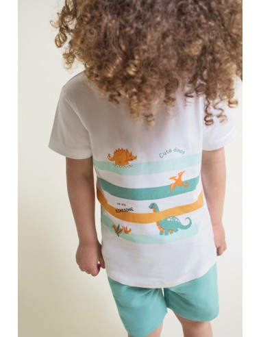 Conjunto niño dinos verde