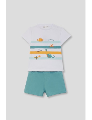 Conjunto niño dinos verde